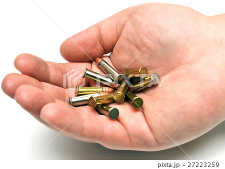 Cartridges in hand 27223259