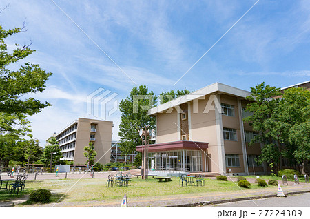 新潟大学 新潟大学 27224309