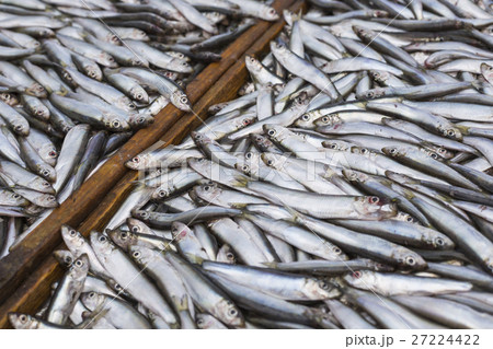Abundance of fresh fish on market display. Abundance of fresh fish on market display. 27224422