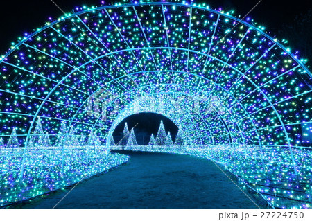 イルミネーション 27224750