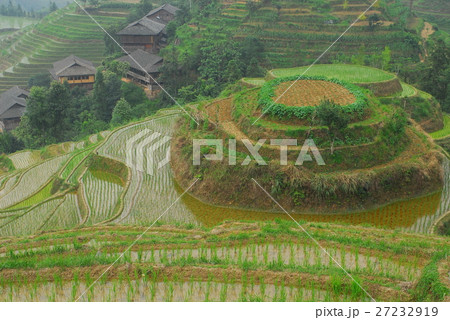 landscape landscape 27232919