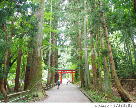 鳥居と参道 鳥居と参道 27233585