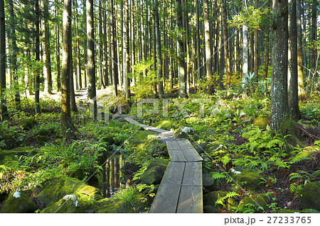 胴腹滝　遊佐町　山形県 27233765