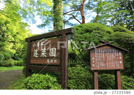 夏の箱根 蓬莱園 27235580