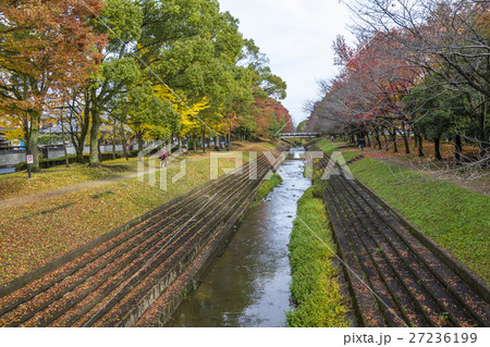 春日井市 ふれあい緑道 生地川 春日井市 ふれあい緑道 生地川 27236199