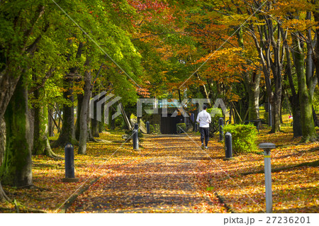 春日井市　ふれあい緑道 27236201
