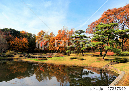 皇居東御苑 二の丸庭園の紅葉 12月 東京都千代田区の写真素材