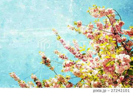 grunge flowers 27242101