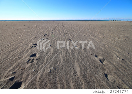 中田島砂丘の風景 中田島砂丘の風景 27242774