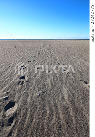 中田島砂丘の風景 中田島砂丘の風景 27242775