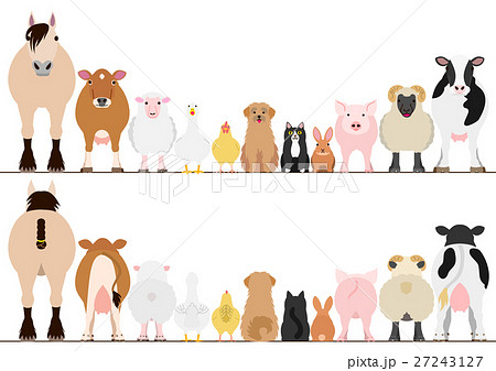 Farm Animal Borders Set Front And Back Color Stock Illustration