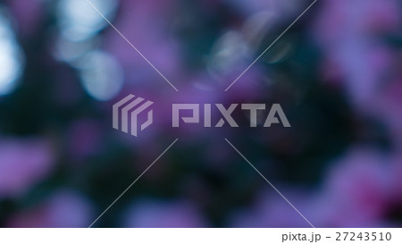 冬の森の緑と光のボケ素材 冬の森の緑と光のボケ素材 27243510