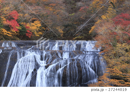 紅葉に彩られた袋田の滝 27244019