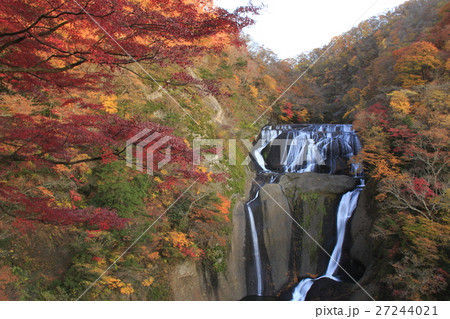 紅葉に彩られた袋田の滝 紅葉に彩られた袋田の滝 27244021