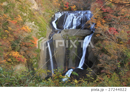 紅葉に彩られた袋田の滝 紅葉に彩られた袋田の滝 27244022