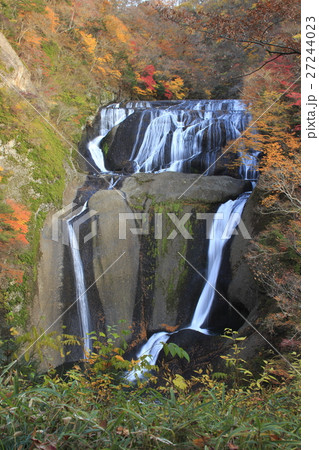紅葉に彩られた袋田の滝 紅葉に彩られた袋田の滝 27244023