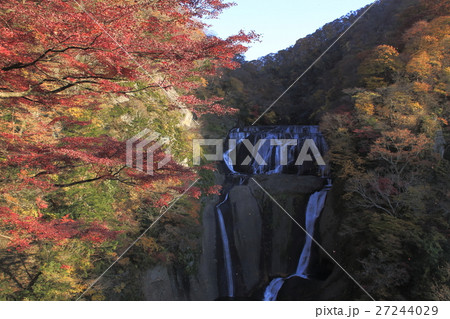 紅葉に彩られた袋田の滝 27244029