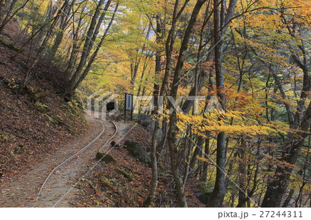 西沢渓谷（復路・西沢森林軌道跡の林道） 27244311