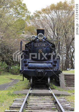 春の小金井公園(SL展示場) 春の小金井公園(SL展示場) 27244509