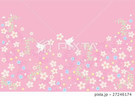 背景素材 チェリーブロッサムと鳥 ピンク のイラスト素材