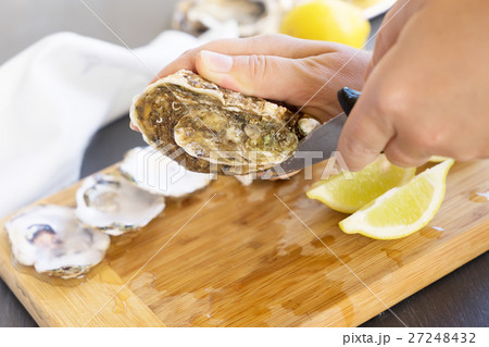 Raw oysters shells 27248432