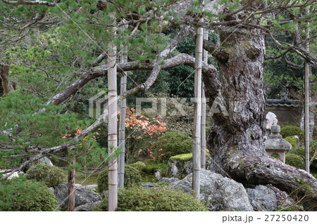京の小寺にて 京の小寺にて 27250420