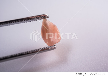 石(正確な名称は不明) 石(正確な名称は不明) 27250989