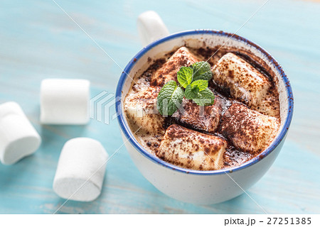 Cup of cocoa with marshmallows and cocoa powder Cup of cocoa with marshmallows and cocoa powder 27251385
