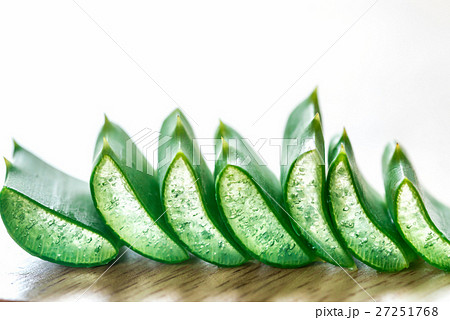 Fresh leaves of Aloe Vera Fresh leaves of Aloe Vera 27251768