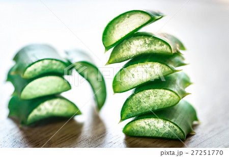 Fresh leaves of Aloe Vera 27251770