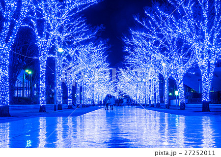 青の洞窟 SHIBUYA 2016 (代々木公園) 27252011