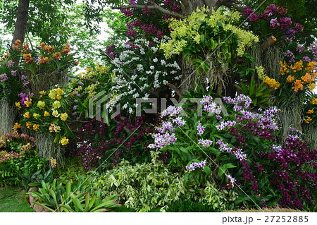 Flower arrangements Flower arrangements 27252885