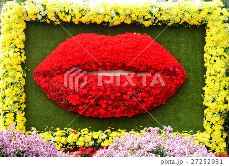 Flower arrangements 27252931