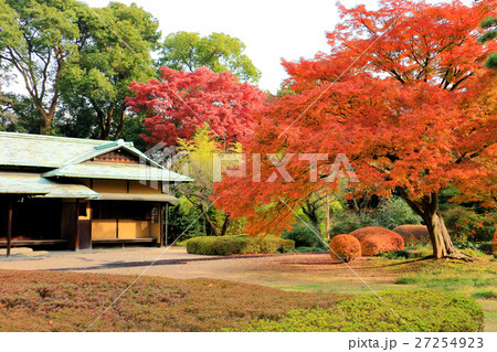 皇居東御苑、二の丸庭園の紅葉と諏訪の茶屋(12月)東京都千代田区 皇居東御苑、二の丸庭園の紅葉と諏訪の茶屋(12月)東京都千代田区 27254923