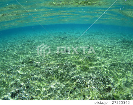 沖縄の海 慶良間諸島 渡嘉敷島 水面 色 水 国立公園 沖縄で遊ぶ 海で遊ぶ 綺麗 景色 南国 沖縄の海 慶良間諸島 渡嘉敷島 水面 色 水 国立公園 沖縄で遊ぶ 海で遊ぶ 綺麗 景色 南国 27255543