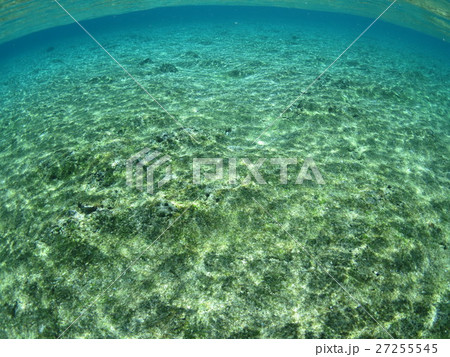 沖縄の海 慶良間諸島 渡嘉敷島 水面 色 水 国立公園 沖縄で遊ぶ 海で遊ぶ 綺麗 景色 南国 沖縄の海 慶良間諸島 渡嘉敷島 水面 色 水 国立公園 沖縄で遊ぶ 海で遊ぶ 綺麗 景色 南国 27255545