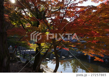 2016　岩谷堂　紅葉 27257865