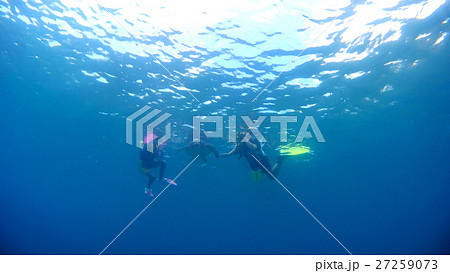 沖縄　阿嘉島アカビーチのアオウミガメを観察する親子 水中撮影 27259073