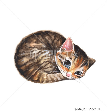 Sleepy cat. Cute watercolor illustration  27259188