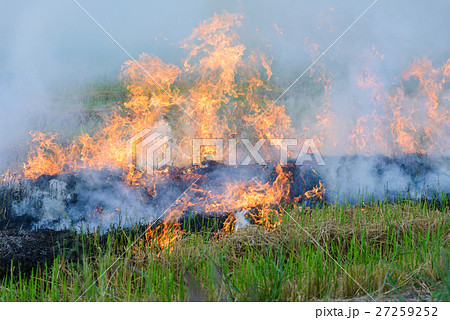Burning straw stubble farmers Burning straw stubble farmers 27259252