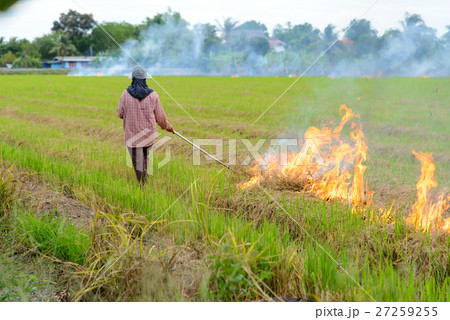 Burning straw stubble farmers Burning straw stubble farmers 27259255