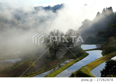 斜光の棚田 斜光の棚田 27262878