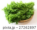 わさび菜 27262897