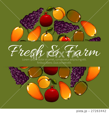 Fruit poster of vector fresh farm fruits harvest 27263442