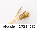 小麦 27264283