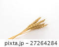 小麦 27264284