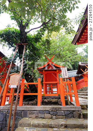 パワースポット 春日大社 風宮神社と七種寄木 なないろのやどりぎ の写真素材