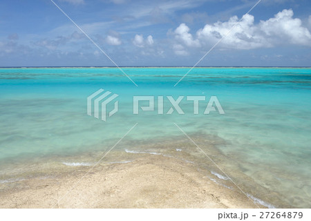 ヨロン ヨロン 27264879