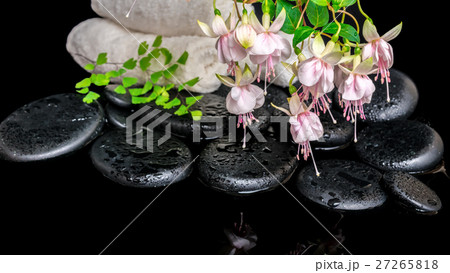 spa setting of branch pink fuchsia flower, towels spa setting of branch pink fuchsia flower, towels 27265818