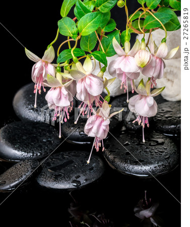 spa setting of branch pink fuchsia flower, towels 27265819